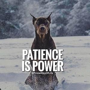 Meet your Posher, Pitit